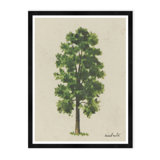 Meadow Tree Print by Tim Klein