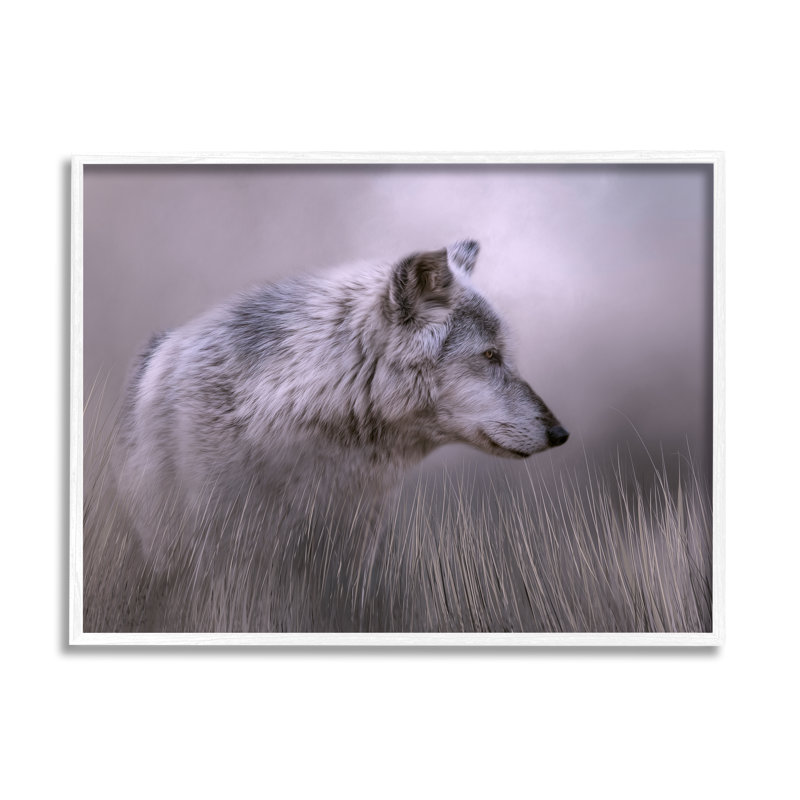 Loup gris - faune, H 11 po x l 14 po x P 1,5 po, Giclée encadrée blanc bord de mer