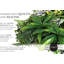 Feuillage de forêt tropicale protégé contre les rayons UV pour la décoration extérieure. Panneaux de 20 po x 20 po (ensemble de 12)