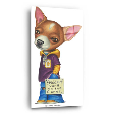 " Brown Chihuahua Wearing Clothes "