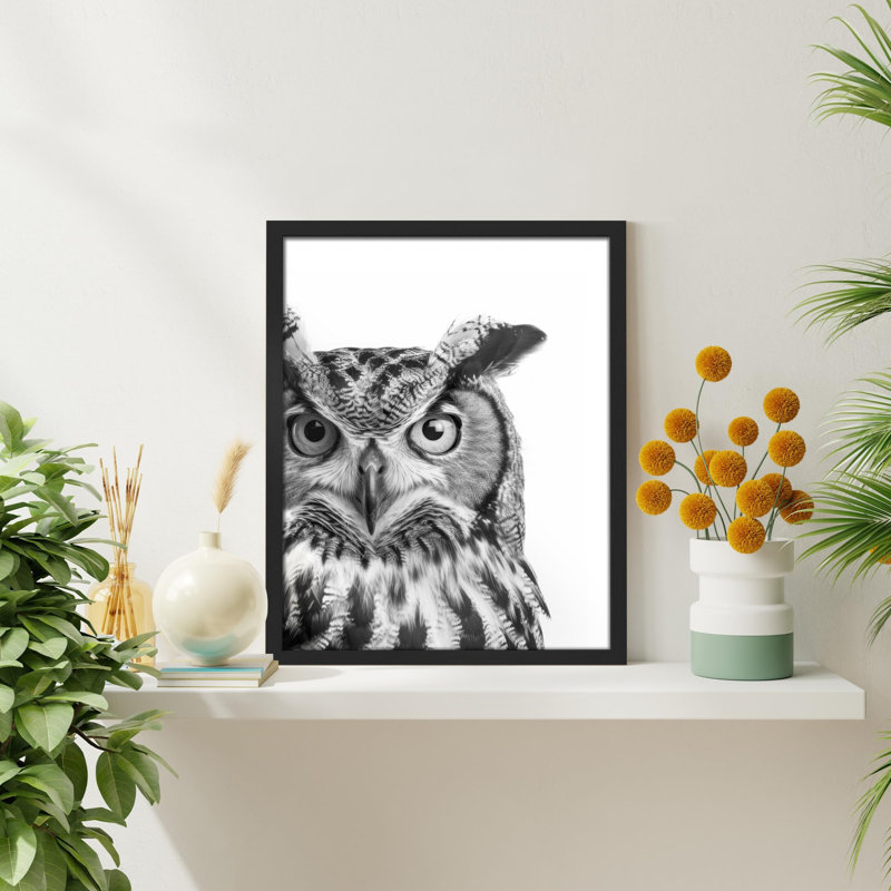 "Photographie de hibou noir et blanc" sur, H 10 po x l 8 po, Noir