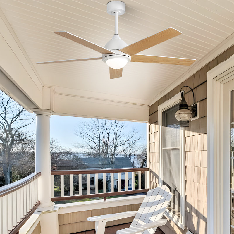 Julicia 52'' Ceiling Fan with LED Lights and Wall Switch, Brown