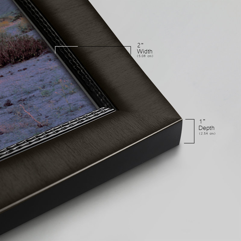«Vallenar Atacama Desert», reproduction d'un seul cadre photo sur toile, H 25 po x l 45 po x P 1 po