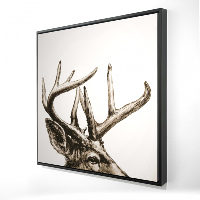 " Roe Deer Plume Sepia "