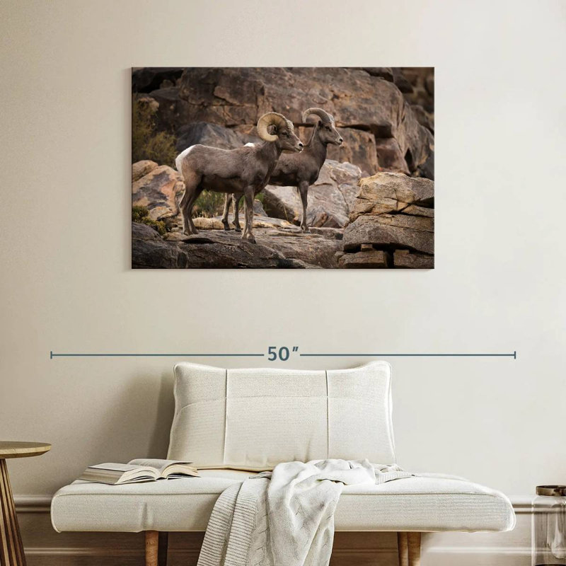 Bighorn Sheep Couple, 26" H x 39" W