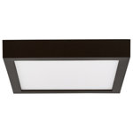 Skiljo Acrylic Flush Mount