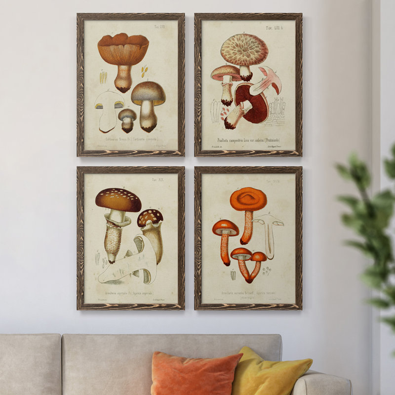 Mushroom Variétés I - Ensemble de 4 reproductions d'art sur toile encadrées, H 31,5 po x l 47 po x P 1,5 po, Noyer