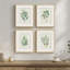 Ensemble de 4 tableaux muraux encadrés représentant des feuilles botaniques vert sauge