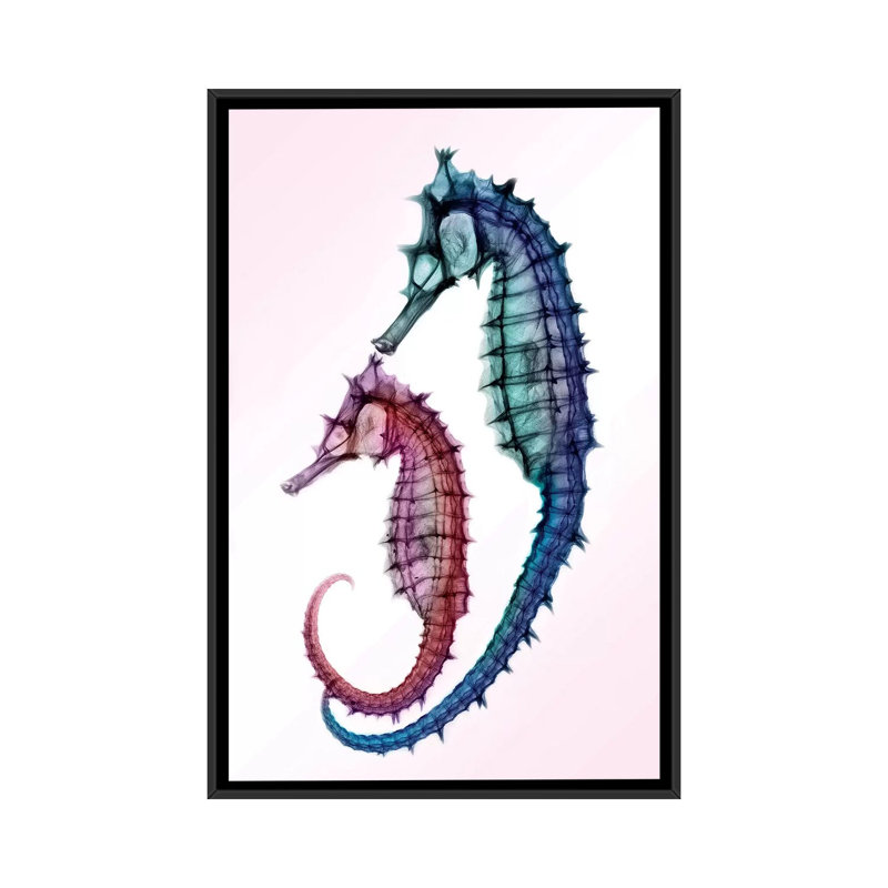 «Seahorse», impression sur toile, H 26 po x l 18 po x P 1,5 po, Toile avec cadre noir, Pas de tapis