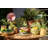 Hartley Appetizer Plate - Lime - 7.1"-2013026512