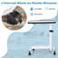 Favazza Standing Desk
