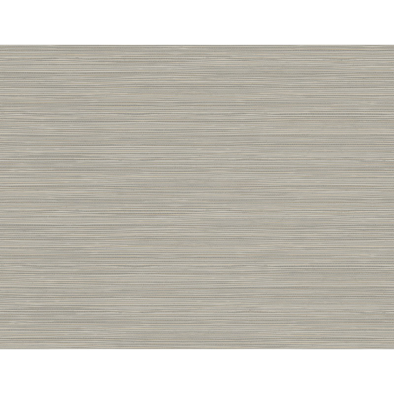 Perseus Grasscloth 27' L x 27" W Texture Wallpaper Roll, Grey