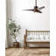 LED Downrod Ceiling Fan-364720240-291225116-287126882
