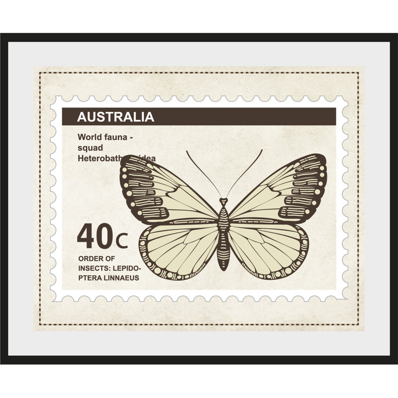 Butterfly - Single Picture Frame Print, 60 cm H x 50 cm W x 5 cm D