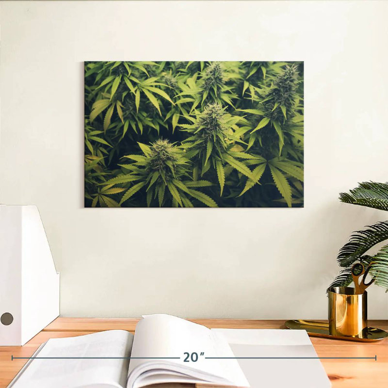 Jardin de bourgeons de marijuana, H 8 po x l 12 po