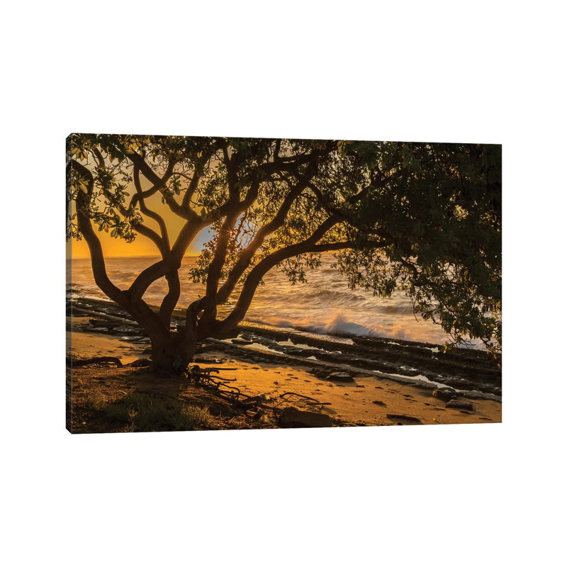 USA, Kauai, Wawalohi Beach Park. Sunset On Ocean Beach And Trees. by Jaynes Gallery - Wrapped Canvas Gallery-Wrapped Canvas Giclée