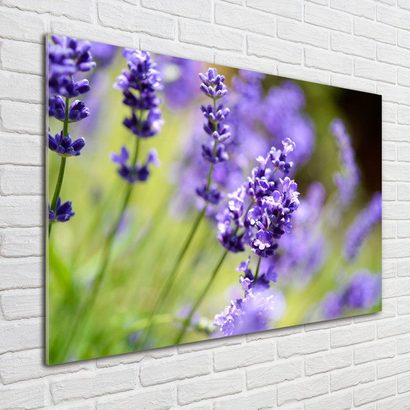 Lavender - No Frame Print on Glass