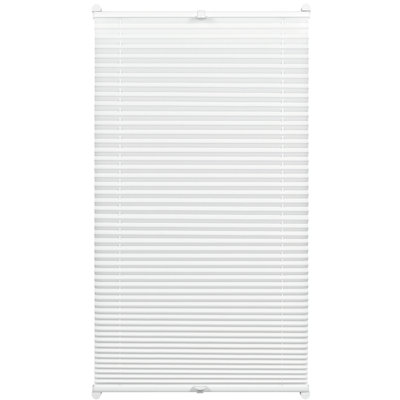 Blackout Pleated Blind