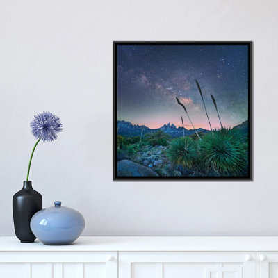 " Agave And The Milky Way, Organ Mountains-Desert Peaks National Monument, New Mexico " Watercolor Print