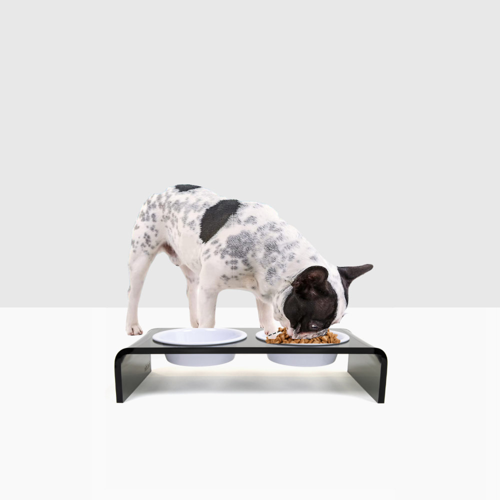 Hiddin Small Smoke Grey Double Bowl Elevated Pet Feeder & Reviews | Wayfair - Slim Hidden Pet Feeder