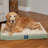 Serta Quilted Pillowtop Pet Bed-31319157-31319159