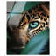 Jungle Watcher III High-Gloss Frameless Acrylic Glass Wall Art Animals Print by Oliver Gal, Ready to Hang, 16 x 20-980233641-980233646