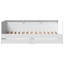 Patrocinio Daybed With Drawers-508661839-508661833