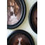  Art mural encadré ovale encadré - Collection d'œuvres d'art canines de style portrait classique de 12 po, ensemble de quatre