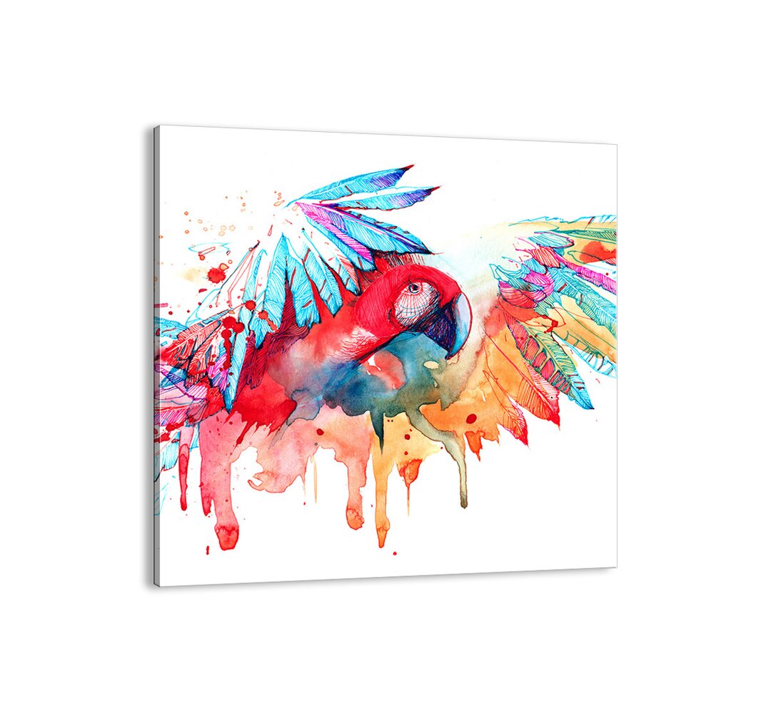 Leinwandbild Rainbow Parrot