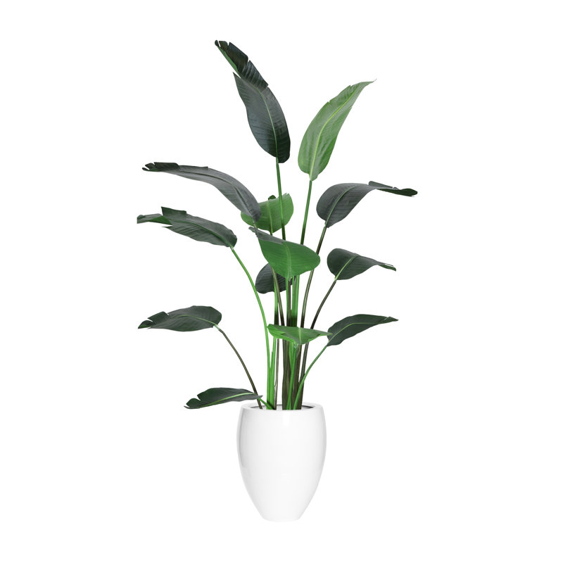 6' Bird of Paradise Tree with Fiberstone Planter, White