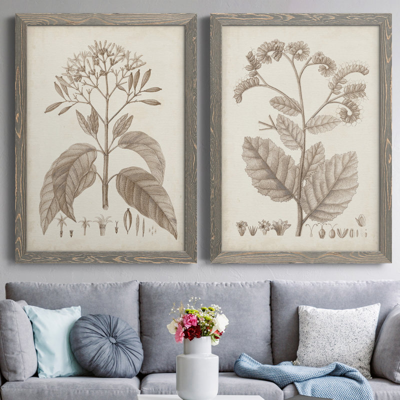 Antique sépia botanicals II, toile encadrée de qualité supérieure - prête à être accrochée, H 43,5 po x l 31,5 po x P 1 po
