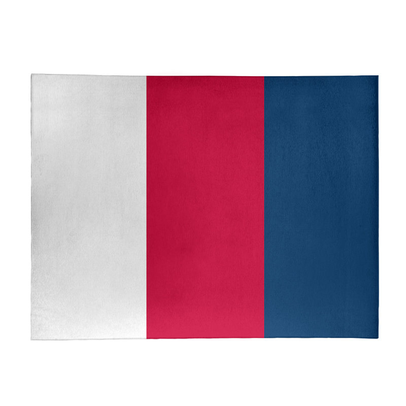 Chenille Indoor Rug, Rectangle 4' x 6'