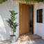 Arbre à ficus 5 pi-1656557071