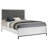 White Queen Upholstered Panel Bed