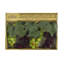 Grappe de raisins 10 lumières de chaîne