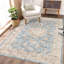 Grand tapis décoratif de salle à manger 10 x 13 médaillons avec envers antidérapant, tapis d'intérieur traditionnels sans perte de poids, revêtement de sol mince lavable à la machine pour la chambre à coucher, la cuisine-52365409-53655733