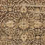 Empress Wool Damask Area Rug in Green-1481344441