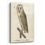 «Barn Owl 1560-1585» par Inconnu, art mural en verre acrylique-2085123662