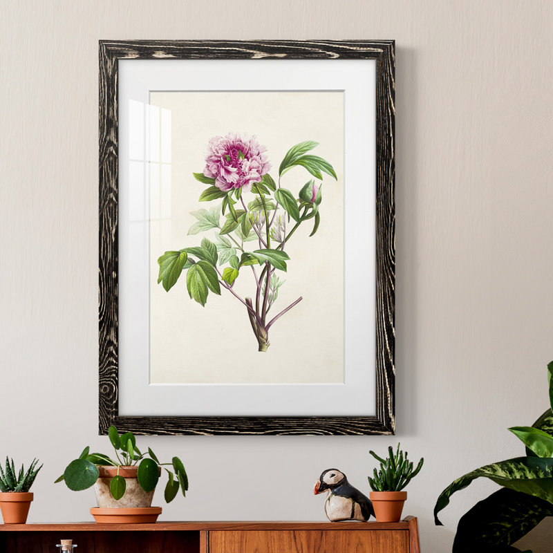 «Pretty Botanicals V», cadre photo, H 44 po x l 31 po x P 1 po, Cadre noir