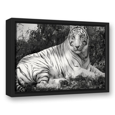 Tigre noir et blanc, reproduction sur toile