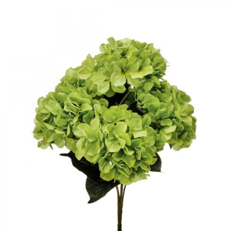 Hortensia, fleurs artificielles, Vert
