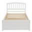Structure de lit simple avec lit gigogne en bois, blanc-124438779
