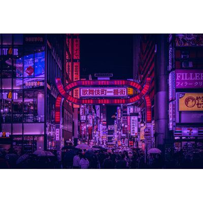 Chemush Rainy Night in Shinjuku - Photographie sur toile tendue