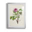 «Pretty Pink Botanicals V», reproduction de cadre photo-772318029-772318034