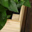 Lit de jardin surélevé en bois 3 pi x 1,5 pi Ealy