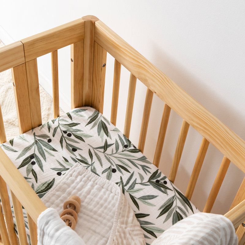 Olive Branches Bassinet Sheet