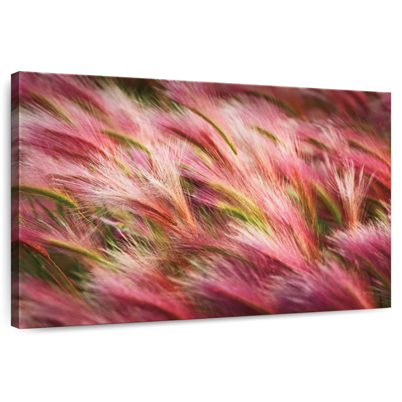 Foxtail Barley, 30" H x 45" W