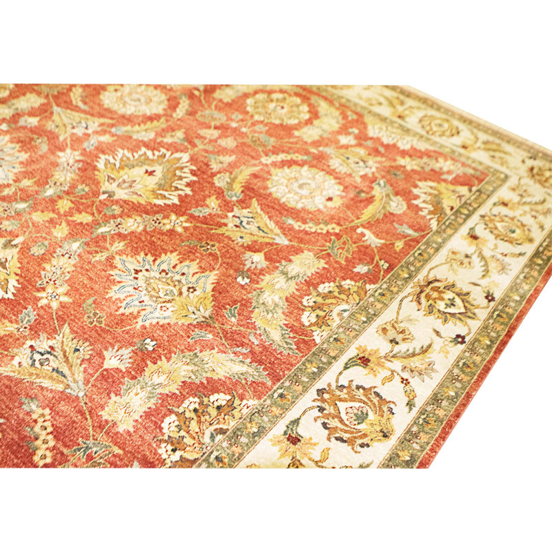 Hand Knotted Wool Area Rug in Rust And Ivory