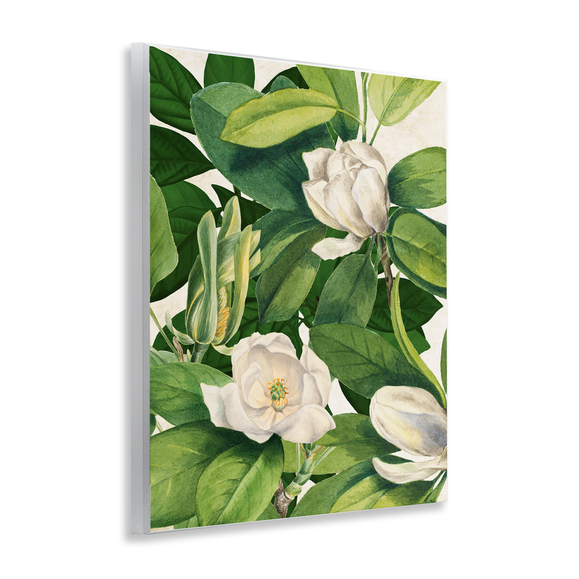 Ophelia & Co. Flowering White Blossoms Wall Plaque Art, design by Susan ...