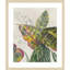 «Croton Plants» par Jacob q, impression sur bois encadrée-100671831